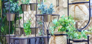 Outdoor & Gardening
